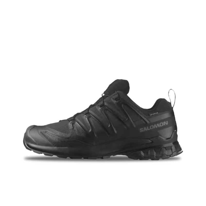 حذاء سالومون XA Pro 3D V8: أني - مراجعة Salomon Shoes Xa Pro 3D وسعره